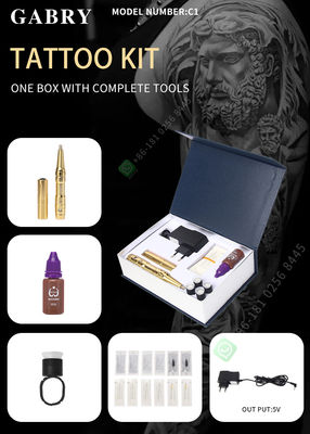 Máquina permanente Kit Electric Microblading For Eyebrow del arma del tatuaje del maquillaje