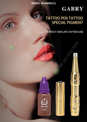 Máquina permanente Kit Electric Microblading For Eyebrow del arma del tatuaje del maquillaje