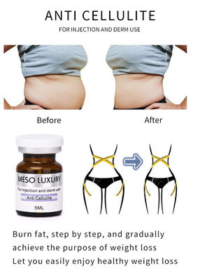 Mesoterapia contra la celulitis Esencia adelgazante Perder peso Vientre quemar grasa Exosomas suero