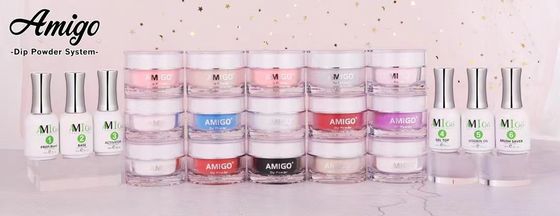 La inmersión del clavo del amigo 10g pulveriza a Kit System Acrylic Easy Molding 20 colores
