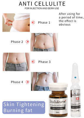 Solución Meso Inyectable Stalidearm Skin Booster de la Marca Francesa para Mesoterapia Anticelulítica y Adelgazamiento