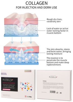 Solución inyectable de mesoterapia de colágeno Exosome Skin Booster Relleno dérmico