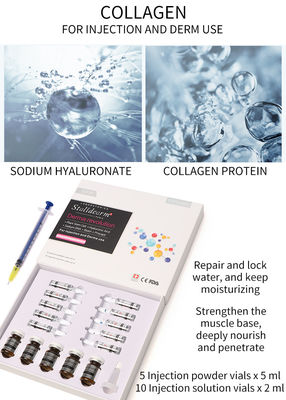 Solución inyectable de mesoterapia de colágeno Exosome Skin Booster Relleno dérmico